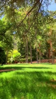 Koloni tarzı bir villanın balkonundan yeşil gölü olan tropikal bir bahçe manzarası.