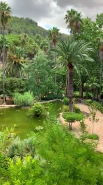 Koloni villasının balkonundan görülen tropik bir bahçe ve yeşil bir gölet.