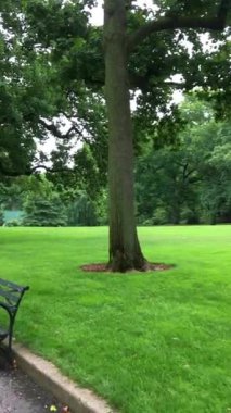 Yeşillik, çimenlik ve ağaçlarla dolu park