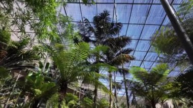 Lisbons merkez botanik bahçesi yeşillikle büyüyor.