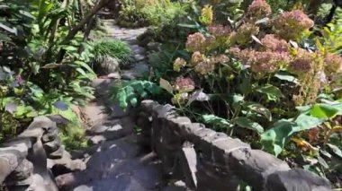 Lisbons botanik inzivasında egzotik bitki koleksiyonu.