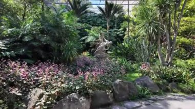 Lizbon 'da büyüyen bitki yaşamı olan merkez bahçe..