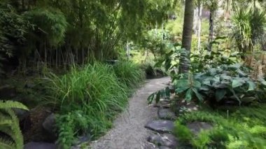 Lizbon 'un botanik bahçelerinde egzotik bitkiler.