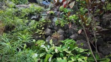 Lisbons şehir bahçesinde lüks yeşillik.