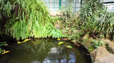 Lisbons bahçesinin kalbinde egzotik yeşillik.