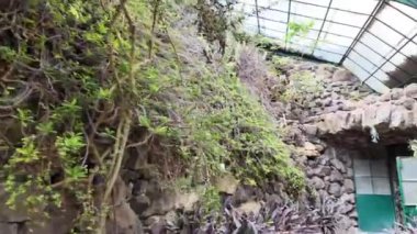 Canlı bitkilerle dolu gür Lizbon bahçesi.