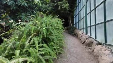 Lizbon 'da zengin bitki yaşamına sahip şehir bahçesi.