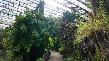 Lisbons botanik merkezinde yeşeren yeşillik.