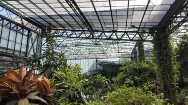 Lizbon 'un ortasında yeşil bir cennet.