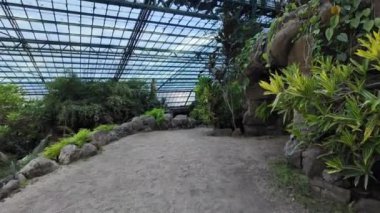 Lizbon 'un botanik bahçesinde tropik bitkiler gelişiyor.
