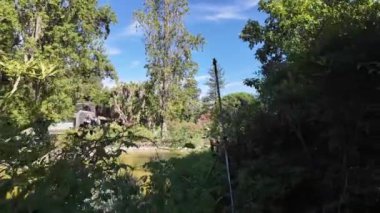 Lizbon 'un merkezinde bir botanik bahçesinde yemyeşil bitkiler.