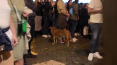 Lisbons caddeleri Noel ışıklandırma etkinlikleri için toplanan insanlarla dolup taşıyor. Lizbon