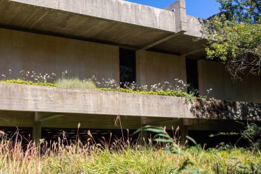 Önplanda yeşil çimenler ve çiçeklerle nehir üzerinde beton köprü