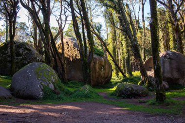 La Paz, Bolivya 'daki parkta devasa kayalar var.
