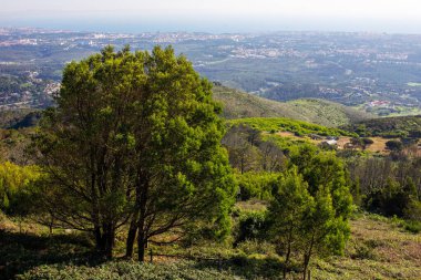Dağın tepesinden köye ve denize bak.