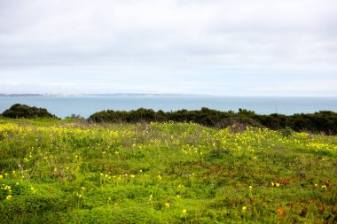 Tepenin tepesinden Atlantik Okyanusu manzarası.