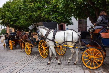 İspanya, Seville sokaklarında at arabasında turistler.
