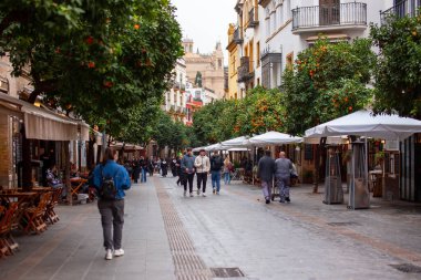 Sevilla, İspanya 'nın pitoresk şehir merkezi.