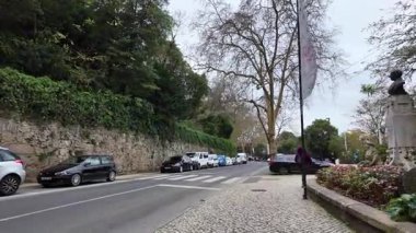 Sintra, Portekiz 'in büyülü sisli ormanlarında yürüyorum.