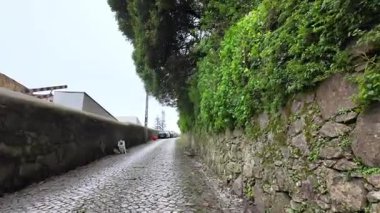 Sintra 'da sisli gökyüzünün altında gezinmek, seyahat belgeseli