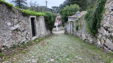 Yoğun sis ve Portekiz seyahat videolarında Sintra işaretleri keşfediyor