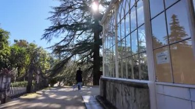 Coimbra Üniversitesi Botanik Bahçesinde barışçıl yürüyüş, UNESCO doğa merkezi