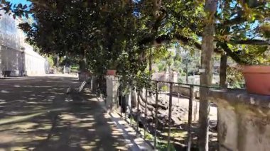 Coimbra Üniversitesi Botanik Bahçesi, UNESCO kültür sahasında doğa severler turu