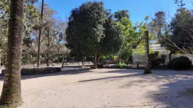 Coimbra Üniversitesi Botanik Bahçesi 'nde doğa turu, UNESCO listesindeki site