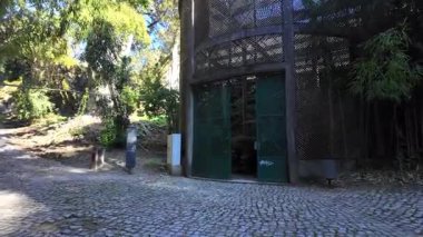 UNESCO Dünya Mirası sitesindeki Coimbra Üniversitesi 'nin botanik bahçesinde rehberli yürüyüş