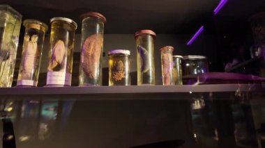 Coimbra Üniversitesi araştırma laboratuvarında bilimsel örnek kavanozları, UNESCO kültür mirası sahasında