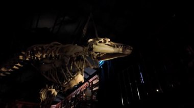 Coimbra Üniversitesi 'ndeki bilimsel araştırma laboratuvarında UNESCO' nun dünya sitesindeki ıslak numuneler depolandı.