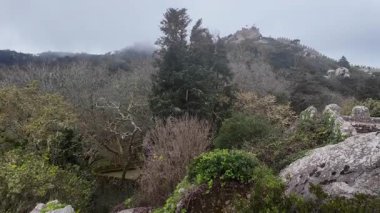 Karanlık ormanlarla çevrili tarihi şato, seyahat görüntüleri, suç gerilim teması