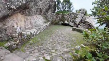 Sintra 'daki ortaçağ şatosuna yakın karamsar orman manzarası, seyahat havası, gerçek suç öyküsü.