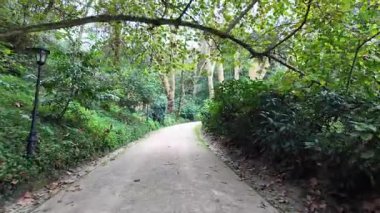 Sintra Portekiz 'deki Biester Sarayı' nda güzel bir bahçe.