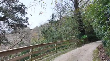 Biester Sarayı 'ndaki canlı bahçe Sintra Portekiz doğası ve seyahat sahnesi