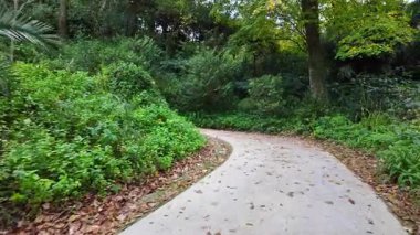 Biester Sarayı 'ndaki görkemli bahçe Sintra Portekiz mükemmel tatil videosu