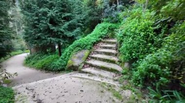 Sintra Portekiz Biester Sarayı 'ndaki pitoresk botanik bahçesi ziyaret edilmeli.