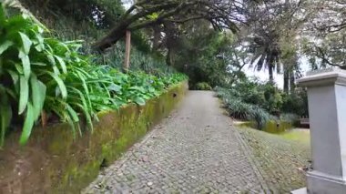 Biester Sarayı 'nda nefes kesici yeşillik Sintra Portekiz kaçış noktası