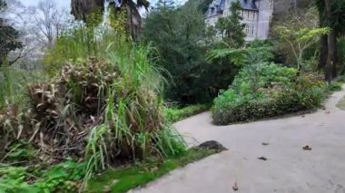 Biester Sarayı Sintra Portekiz manzaralı göz kamaştırıcı açık alan