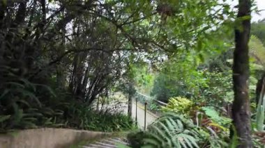 Biester Sarayı 'ndaki Peaceful Park Sintra Portekiz Güzel kaçış