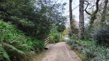 Biester Sarayı 'ndaki canlı çiçek bahçesi Sintra Portekiz çarpıcı manzarası