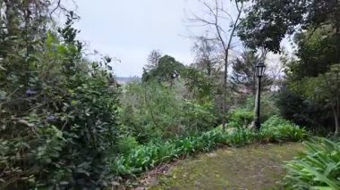 Biester Sarayı 'ndaki yeşil bahçe Sintra Portekiz doğa kaçışı