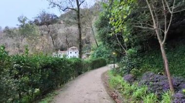 Biester Sarayı 'ndaki yemyeşil ve renkli bahçe Sintra Portekiz Doğa Yolculuğu