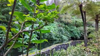 Biester Sarayı 'ndaki sakin bahçe Sintra Portekiz' in en iyi fotoğraf konumu