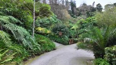 Biester Sarayı 'ndaki tarihi bahçe Sintra Portekiz kültürel seyahat noktası