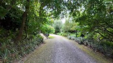 Biester Sarayı 'ndaki romantik bahçe Sintra Portekiz rüya gibi seyahat manzarası