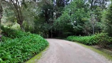 Biester Sarayı 'nda çiçek açan bahçe Sintra Portekiz nefes kesici manzara