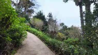 Biester Sarayı 'ndaki büyüleyici bahçe Sintra Portekiz güzel kaçamak