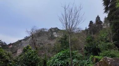 Biester Sarayı 'ndaki enfes bahçe Sintra Portekiz manzarası mükemmel.