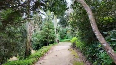 Biester Sarayı 'ndaki huzurlu bahçe Sintra Portekiz manzaralı yer